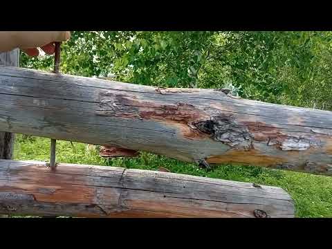 Видео: калитка из жердей, быстро и просто