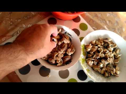 Видео: Улитки по Болгарски