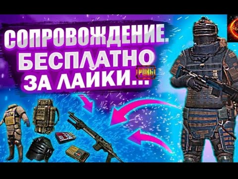 Видео: Играю Pubg Mobile/Metro Royale/каждые 10 лайков бесплатное Сопровождение