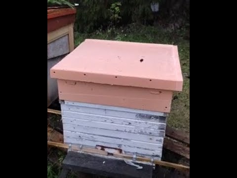 Видео: Ремонт улья  Замена старой деревянной крышки улья на пенопластовую +магазин из ППС