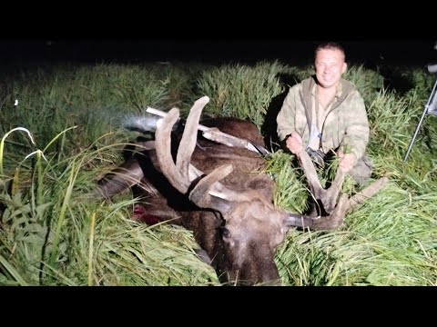 Видео: ОХОТА НА ЛОСЯ И БОБРА !!! РЕБРА ЛОСЯ ГОРЯЧЕГО КОПЧЕНИЯ