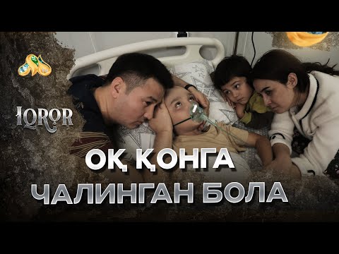 Видео: Оқ қонга чалинган бола... Iqror, 641 - son