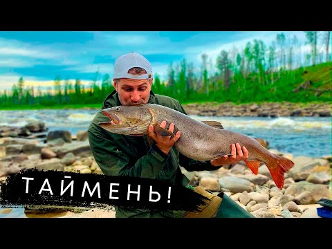 Видео: Рыбалка на ТАЙМЕНЯ! Охота на ЛУЧШИХ Трофеев СЕВЕРНЫХ рек Красноярского края!