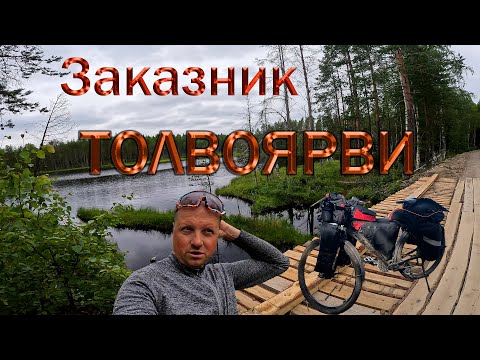 Видео: Большое путешествие по Карелии.Заказник Толвоярви