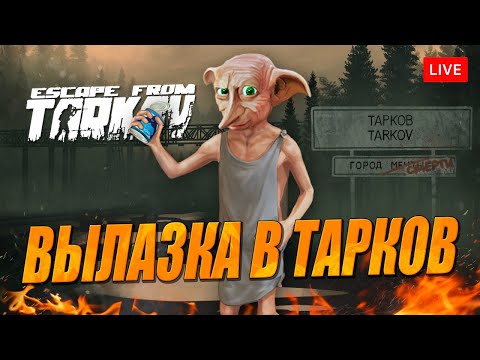 Видео: Выживание в Таркове