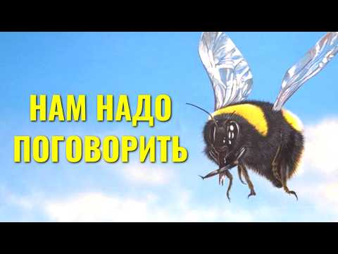 Видео: Язык пчел, муравьев и кузнечиков: они умеют говорить!