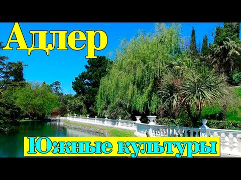 Видео: Парк Южные культуры. Адлер