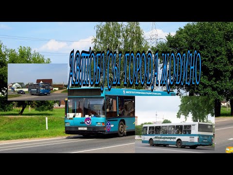 Видео: Автобусы города Жодино/ Buses  of the city of Zhodino