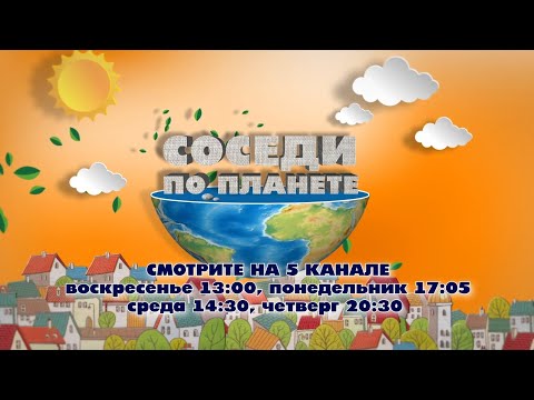 Видео: Профессор криминологии о котах, собаках и умных сказках. Соседи по планете. Выпуск 123