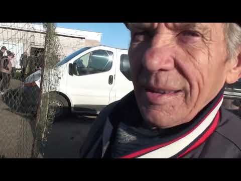 Видео: Ярмарок голубів.Первомайськ 1Ч.