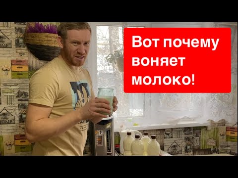 Видео: ВОТ ПОЧЕМУ ВОНЯЕТ МОЛОКО. КОГО ОПЯТЬ КУПИЛ?