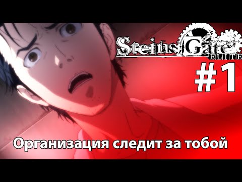 Видео: Организация следит за тобой ➤ STEINS;GATE ELITE #1