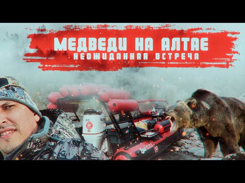 Видео: ВСТРЕЧА С МЕДВЕДЕМ. АЛТАЙ. ОТКРЫТИЕ ВОДОМЕТНОГО СЕЗОНА 2022 . ВОДОМЕТНАЯ ЛОДКА АКАДЕМИЯ