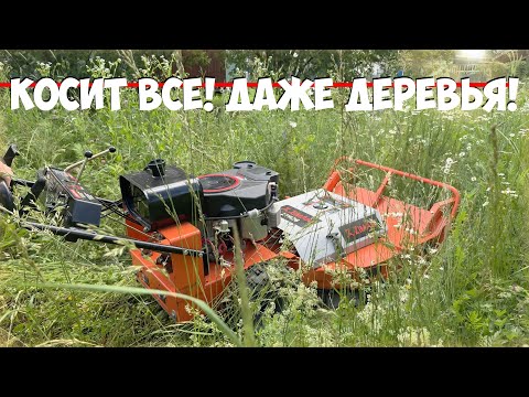 Видео: Что она творит, если не посмотрите не поверите!!! Косилка для любой травы и бурьяна ZimAni ZTR36