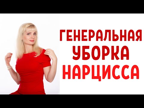 Видео: "Генеральная уборка" нарциссов и психопатов