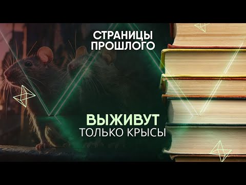 Видео: Выживут только крысы: почему им нестрашна радиация?