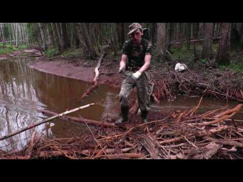 Видео: Коп в лесу.Александр(реставратор).Видео №10