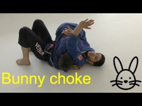 Видео: БЖЖ: удушение "зайчик"/ BJJ: bunny choke