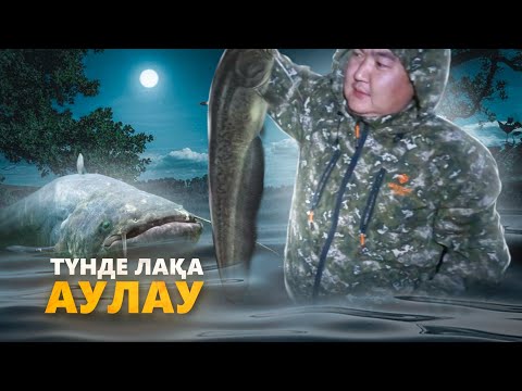 Видео: ЛАҚА БАЛЫҒЫН АУЛАУ. " Без ЛАҚА, жизнь ПЛОХО))) Түнгі балық аулау. Ловля сома.