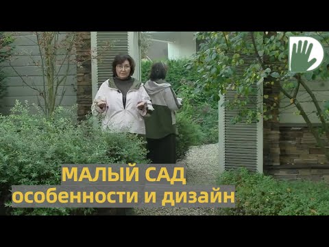 Видео: "САДЫ со ВКУСОМ" от Ирины Сахаровой. МАЛЫЙ САД. Как сделать его дизайн правильно?