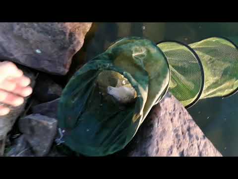 Видео: Рыбалка озере Косаголь с ночевой 18.06.2021-19.06.2021