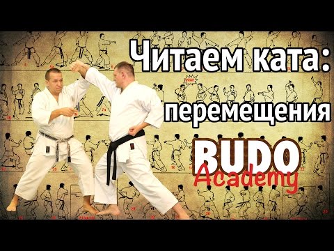 Видео: Читаем ката: перемещения. Игорь Садовников