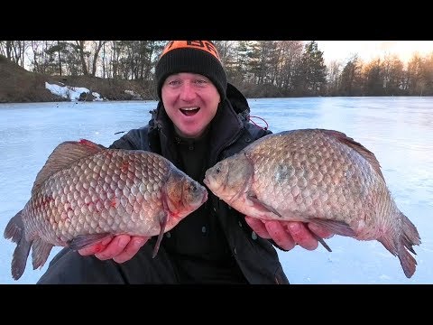 Видео: ШОК!!! КИЛОГРАММОВЫЕ КАРАСИ ДИНОЗАВРЫ КЛЮЮТ НА ЖЕРЛИЦЫ