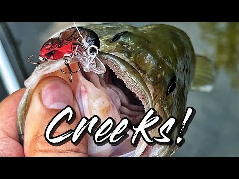 Видео: Ohio Creek Fishing — набор для ловли рыбы Unstoppable Lure!