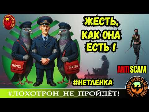 Видео: ЛЕГЕНДАРНОЕ ВИДЕО! 🔥НЕТЛЕНКА ОТ ОЛЬГИ БОРИСОВНЫ✅СБЕР, МАЙОР И ГОЛУБИ🔴СКАМ, МОШЕННИЧЕСТВО