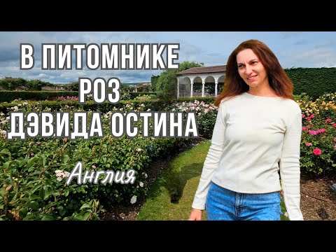 Видео: В гостях у роз: ПИТОМНИК РОЗ Дэвида Остина | Волшебный мир и мечта любого садовода