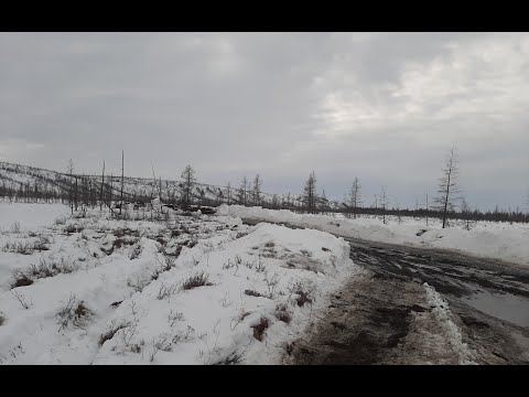 Видео: Зима-весна ЧУКОТКА [2023-24]