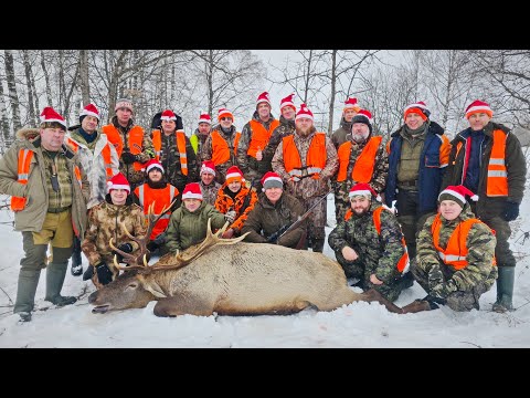 Видео: Охота НА ОЛЕНЯ 💥 Финальный выезд 2024