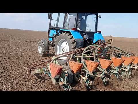 Видео: Начинаем сеять подсолнечник 🌻🌻🌻
