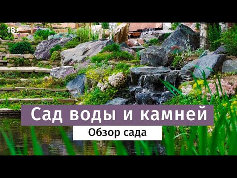 Видео: Сад мечты с прудом. Обзор сада