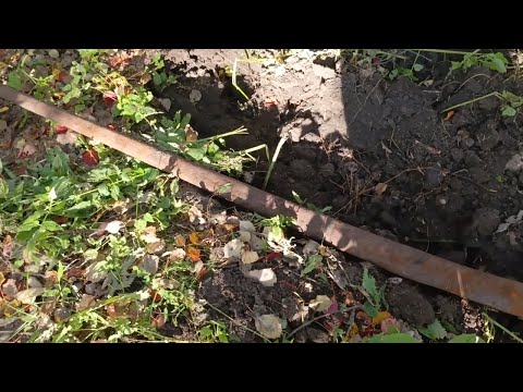 Видео: МЕТАЛЛОКОП ЗОЛОТОЙ ОСЕНЬЮ!!! НАХОДКИ ЕСТЬ!!! ТХ 850!!!