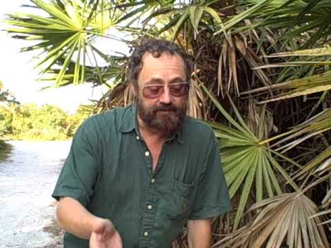 Видео: EatTheWeeds: Эпизод 48: Saw Palmetto