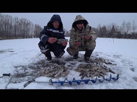 Видео: Первый лёд 2023-2024/Сибирские злые поклёвки