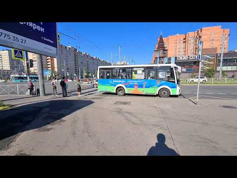 Видео: Проспект Просвещения / Художников. 15.08.24.  Санкт-Петербург