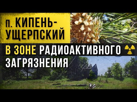 Видео: ☢ Кипень-Ущерпский в зоне радиоактивного загрязнения.