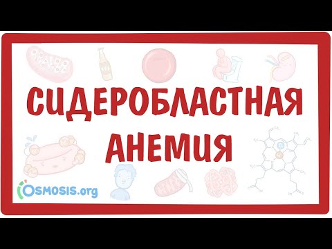 Видео: Сидеробластная анемия — причины, симптомы, патогенез, диагностика, лечение