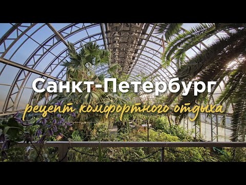 Видео: Комфорт и вдохновение: один день в Петербурге