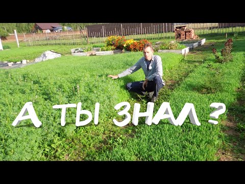 Видео: Удаляем сорняки и дерн с помощью семян ОВСА и нанотехнологии