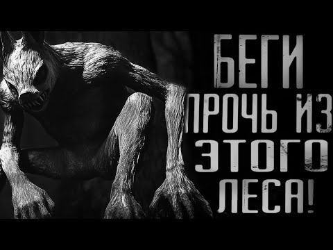 Видео: Беги прочь из этого леса! WorldBegemotKot Все серии 