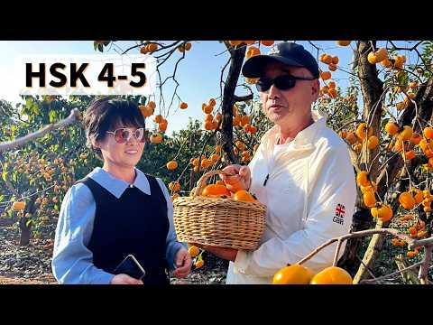 Видео: С родителями в деревне хурмы 🍊 | Влог для HSK 4-5