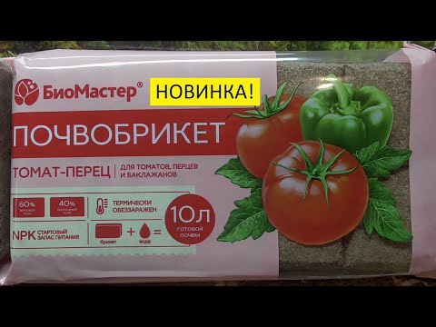 Видео: Почвобрикеты для выращивания рассады заинтересовали - тестирую. Ольга Чернова.