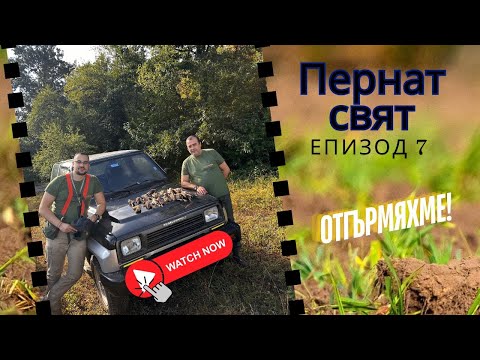 Видео: ЛОВ НА ПЪДПЪДЪК! Пернат свят ЕП.7