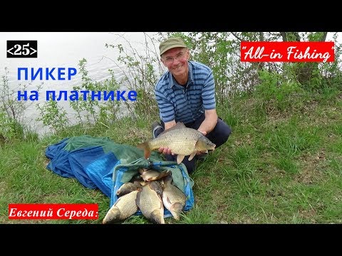 Видео: Пикер на платнике. "All-in Fishing". Вып. 25.