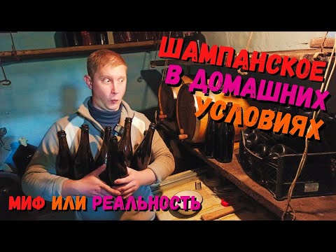 Видео: ШАМПАНСКОЕ в домашних условиях | Проверенный рецепт | Часть 1