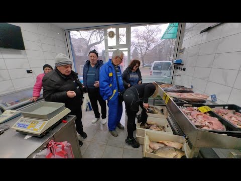 Видео: Преди Никулден: Русенци търсят най-вече дунавски шаран