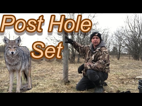 Видео: Набор отверстий для столбов забора для койота и лисы. Полный процесс.